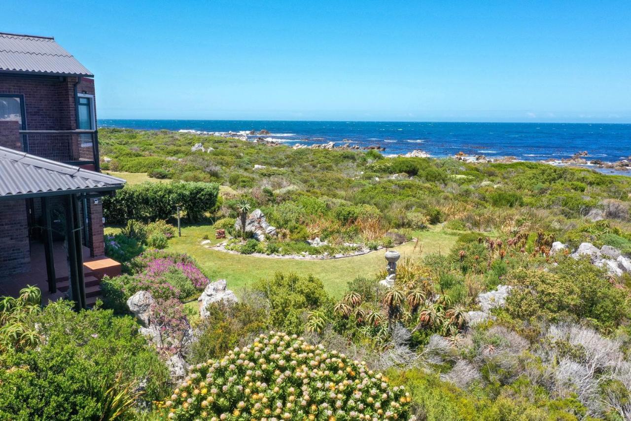 The Amaryllis Luxury Apartment Bella Donna Bettyʼs Bay Extérieur photo